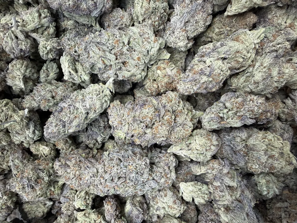 White Truffle Flower